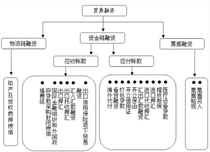 外贸新趋势:企业如何高效利用进口代理